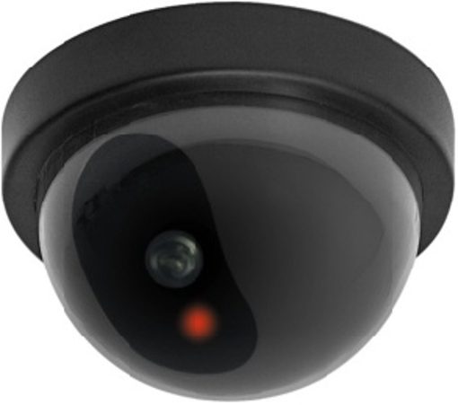 Obrázok z Kamera , maketa kamery - kopule