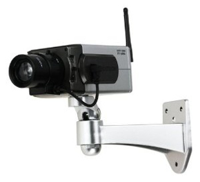 Obrázok pre kategóriu Kamerové systémy