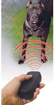 Obrázok z Elektronický výcvikový ovládač pre psa