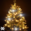 Obrázok z Vianočné LED osvetlenie, svetelná reťaz, vonkajšie 670 ks/105 m s FLASH
