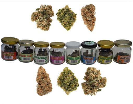 Obrázok z CBD Cannabis 2g v skle