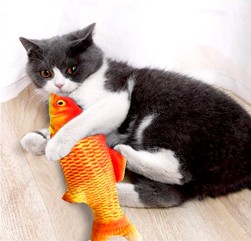Obrázok z Hračka pro kočky - ryba