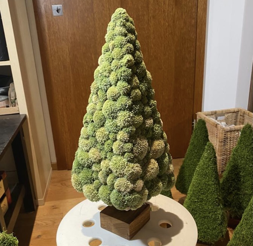 Obrázok z Luxusný Machový Vianočný stromček 50cm z výberového machu